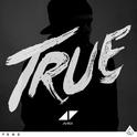 True (Bonus Edition)专辑