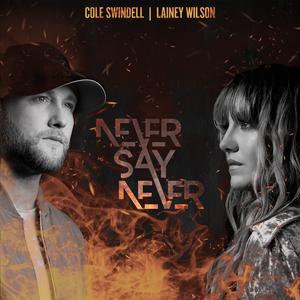 Cole Swindell & Lainey Wilson - Never Say Never (BB Instrumental) 无和声伴奏 （降8半音）
