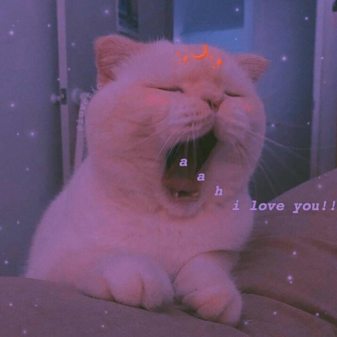 和 我 回 家 ♡