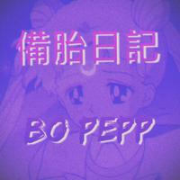 备胎日记 伴奏 beat 带副歌 （扒带制作）