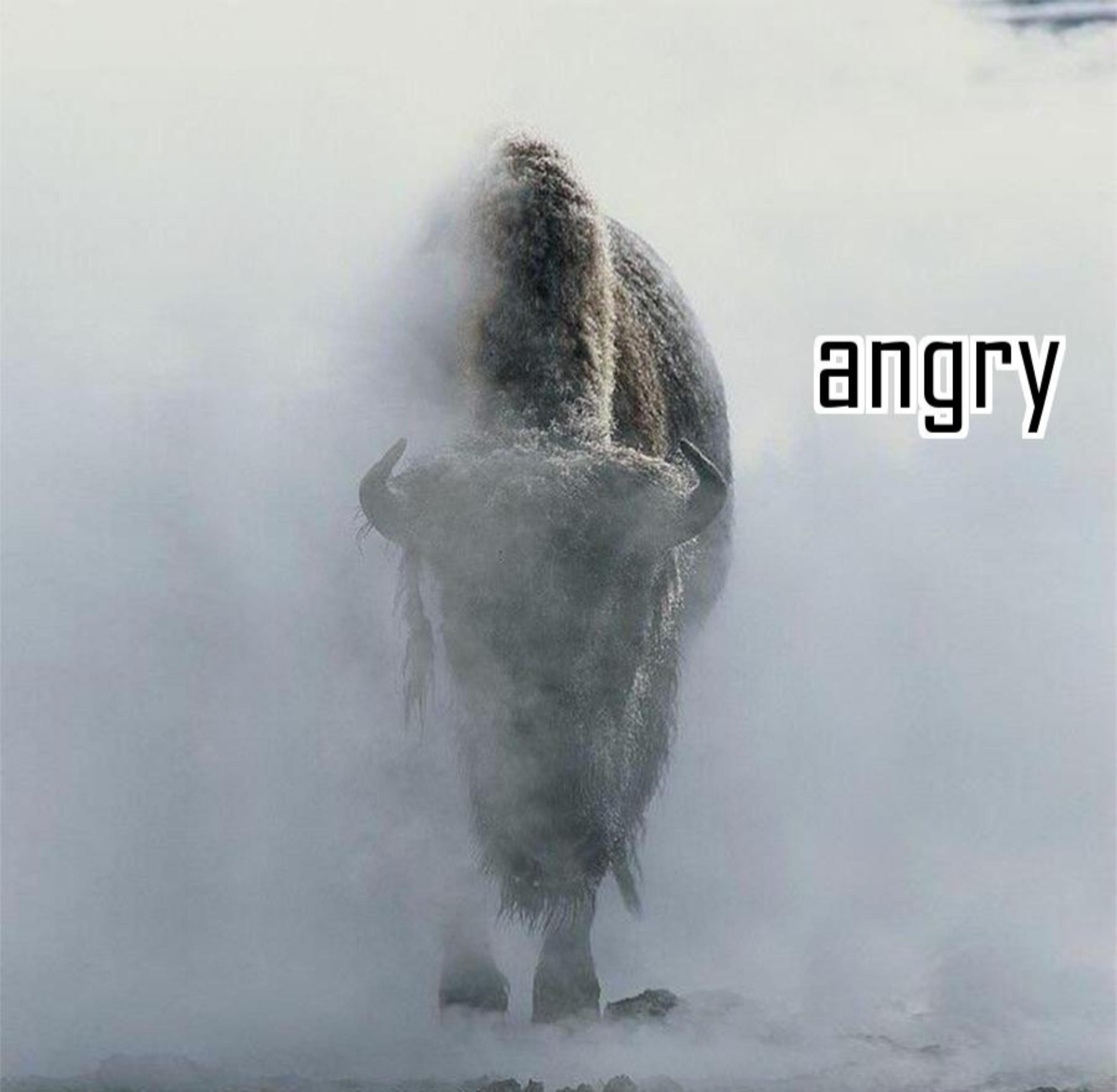 Angry