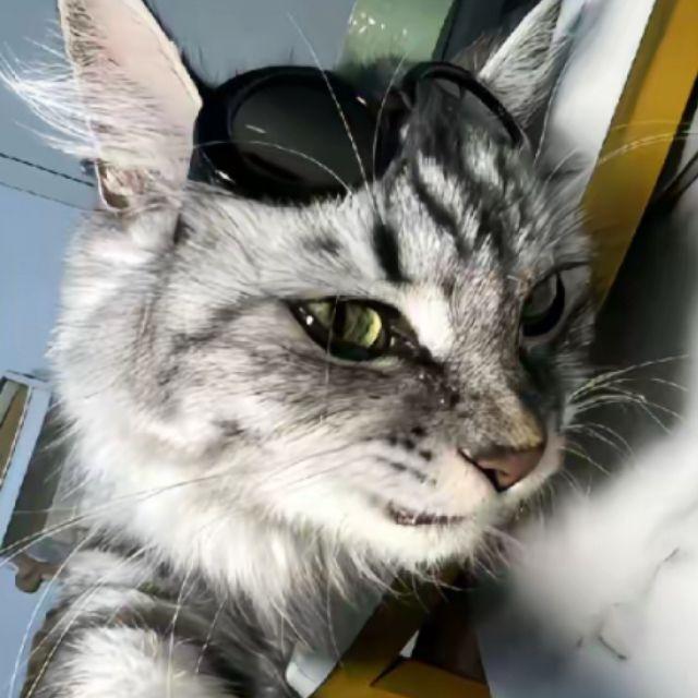 《纽扣系浪花》