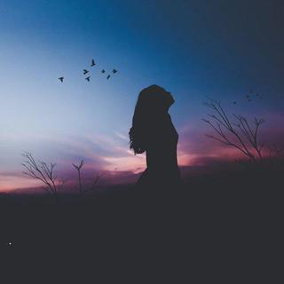 聆听自然声音 远离喧嚣城市