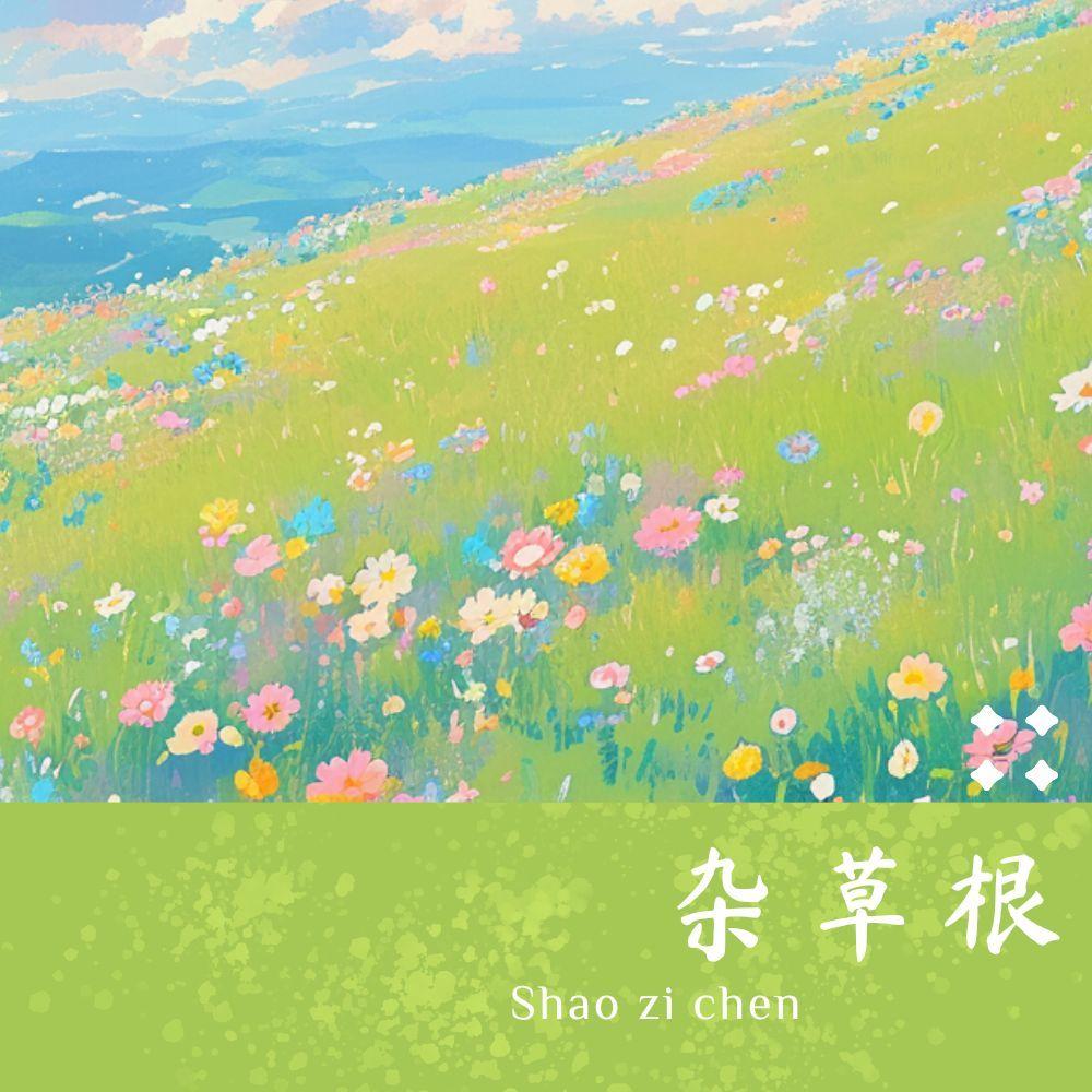 杂草根