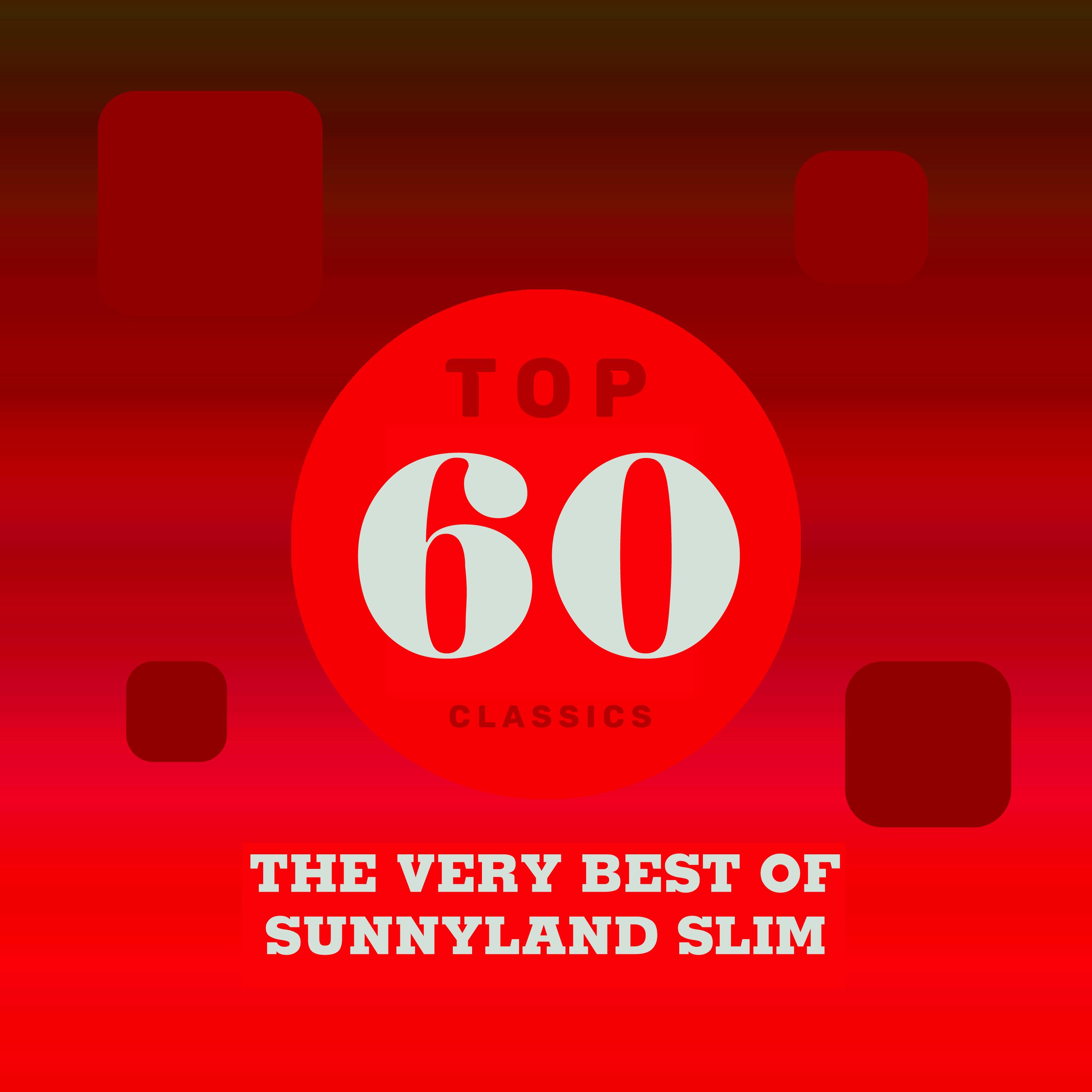 Top 60 Classics - The Very Best of Sunnyland Slim