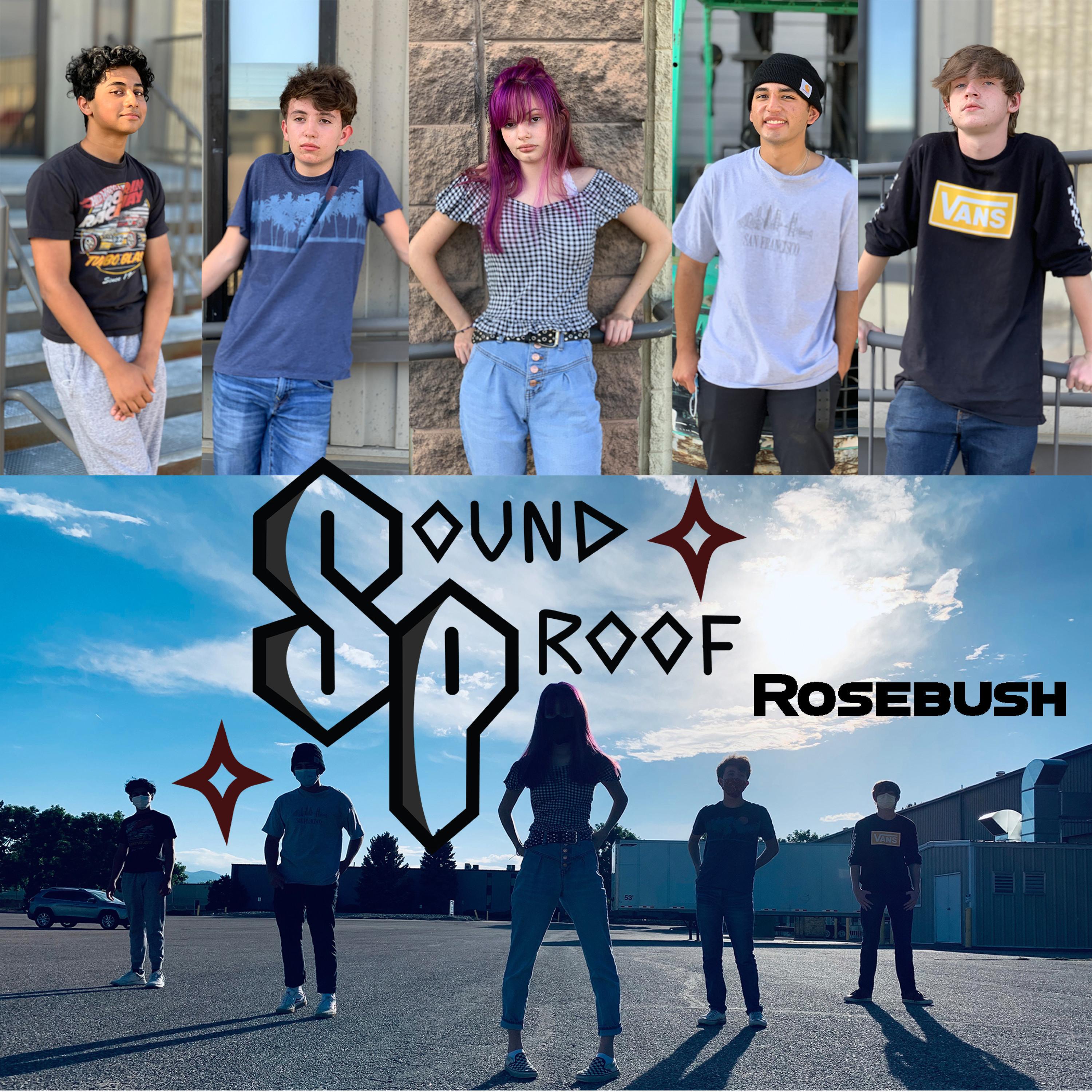Rosebush