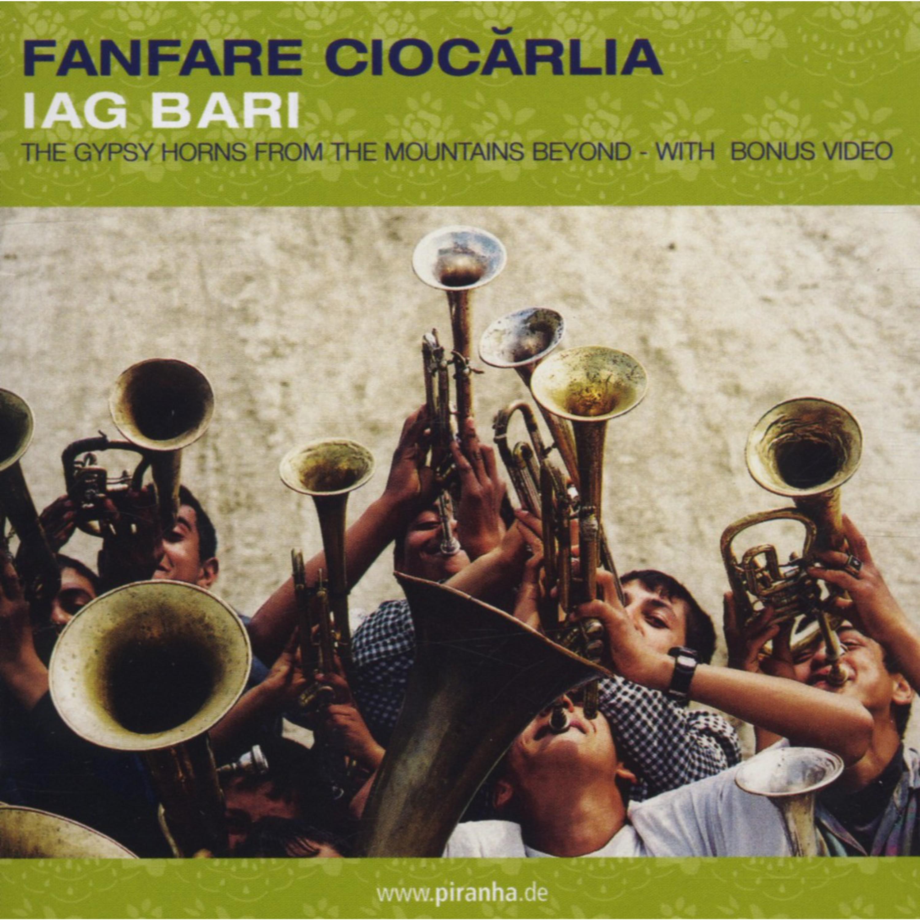 Fanfare Ciocarlia - Dusty Road