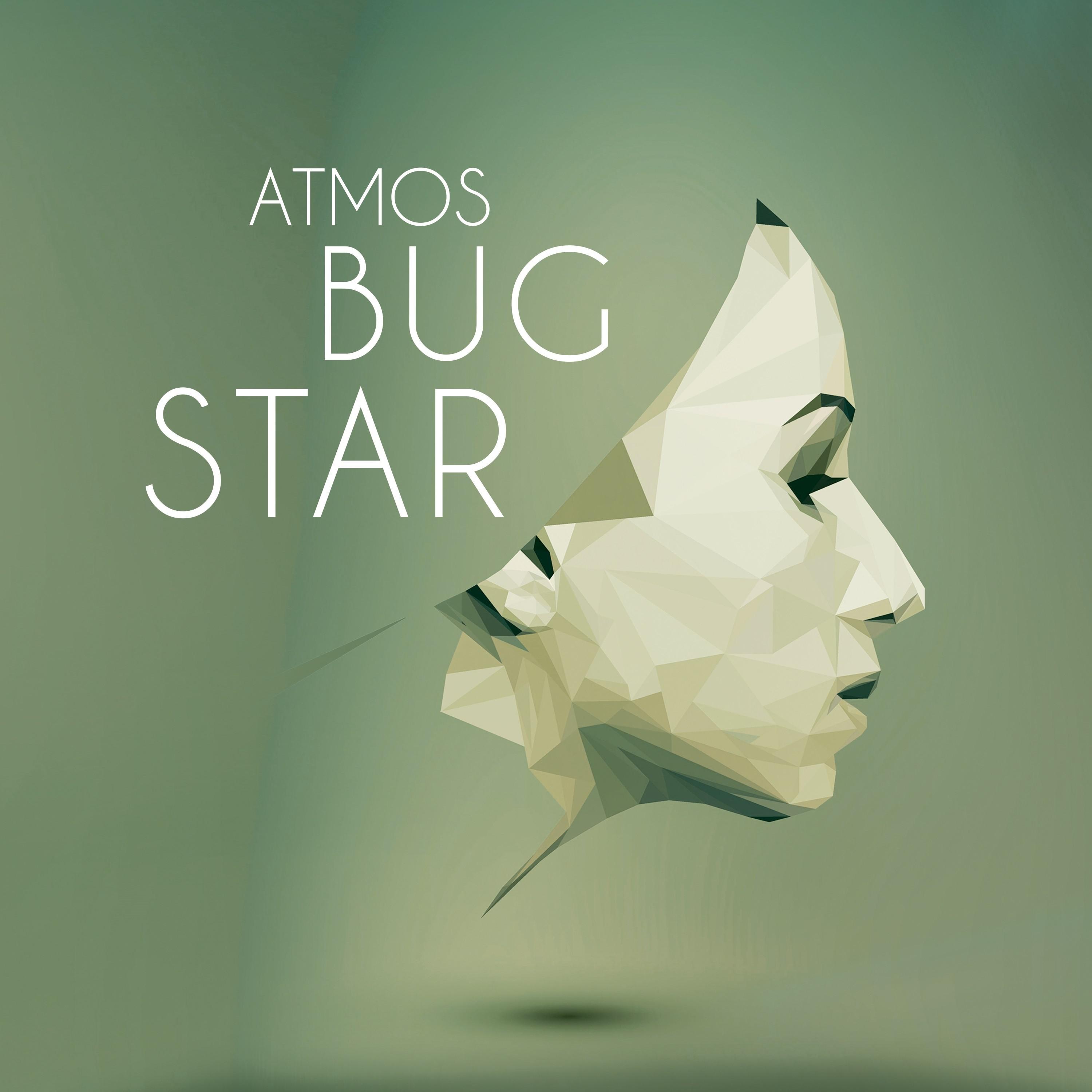 Bug Star - Plug Service