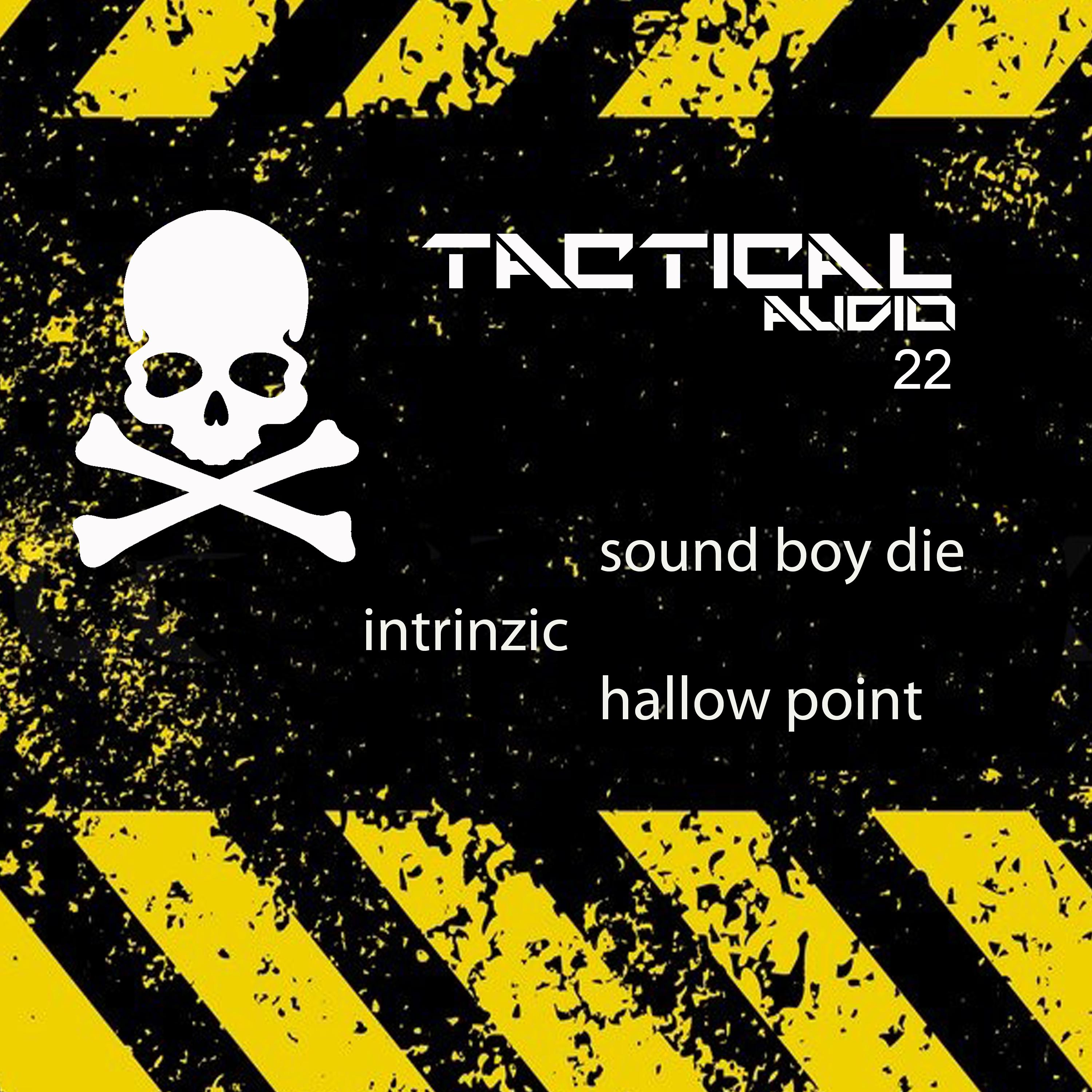 Intrinzic - sound boy die