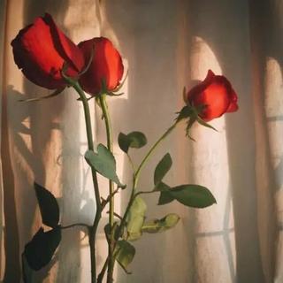 满天星辰赠予你，仍觉星辰不及你