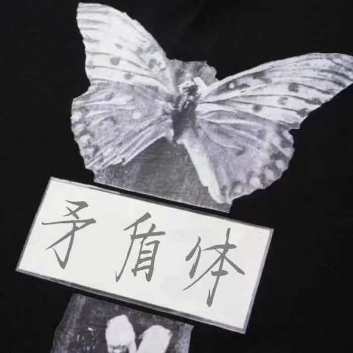 矛盾体
