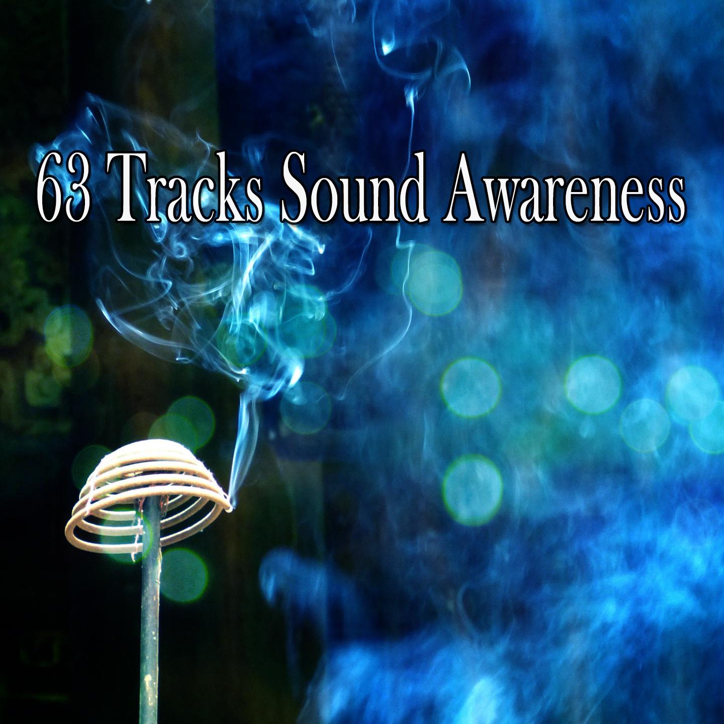 63 Tracks Sound Awareness专辑