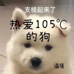 热爱105℃的你