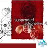 Suspended Adrenaline, Vol. 4专辑