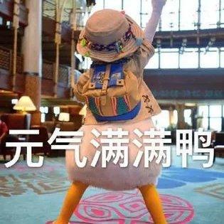 今天也是元气满满的一天鸭