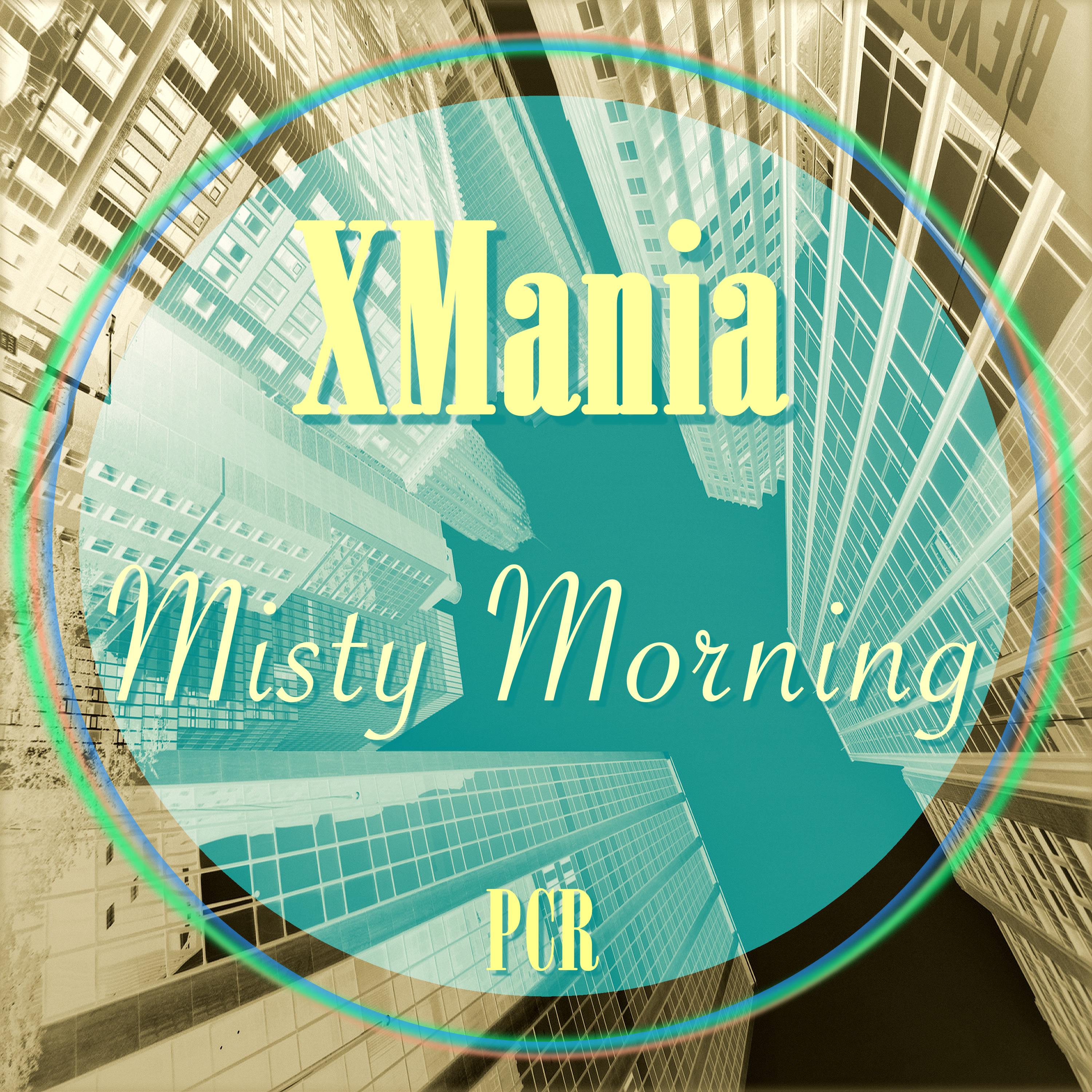 Misty Morning