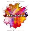 Color of Sound (Haxon & Rush Remix)专辑