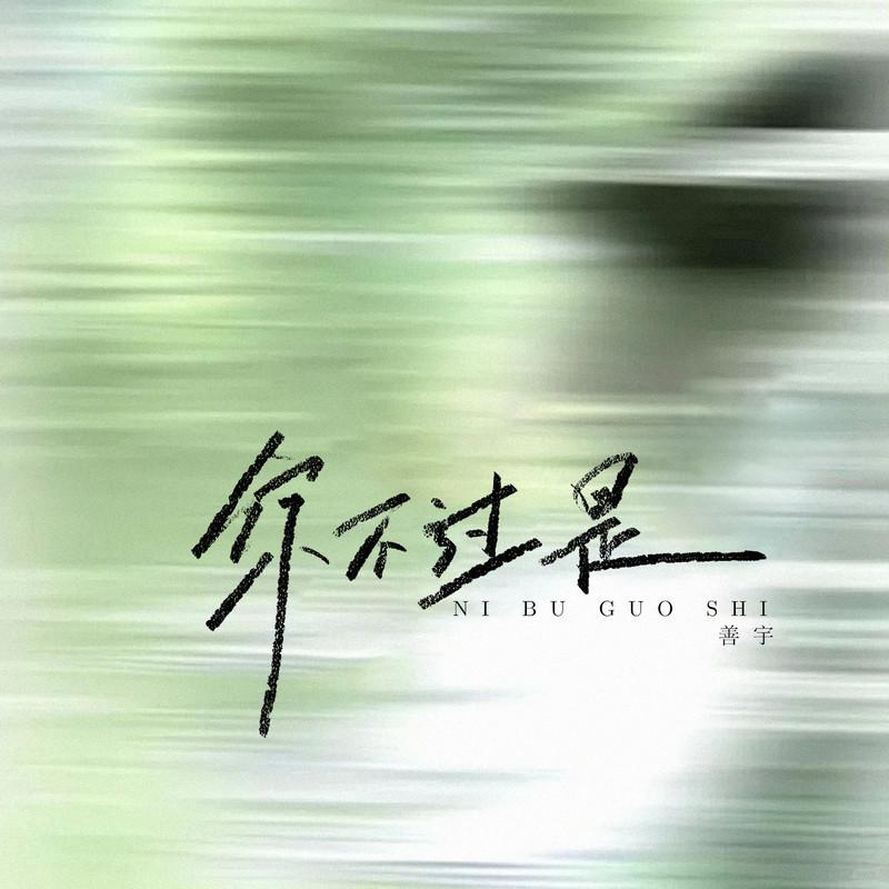 你不过是专辑