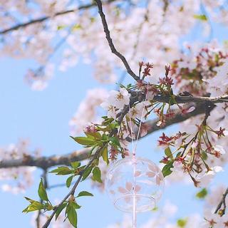 『春』最适合春天听的歌