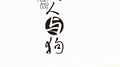堂堂专辑