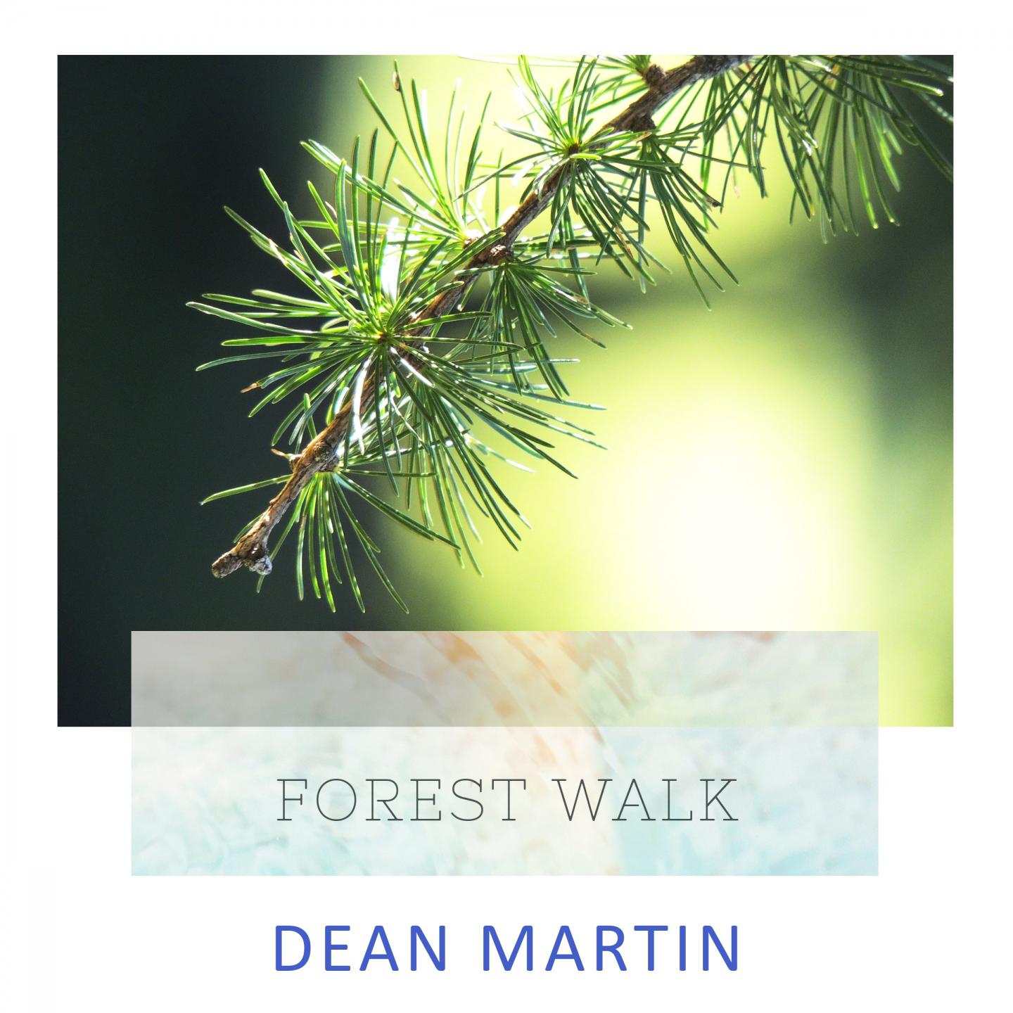Forest Walk专辑