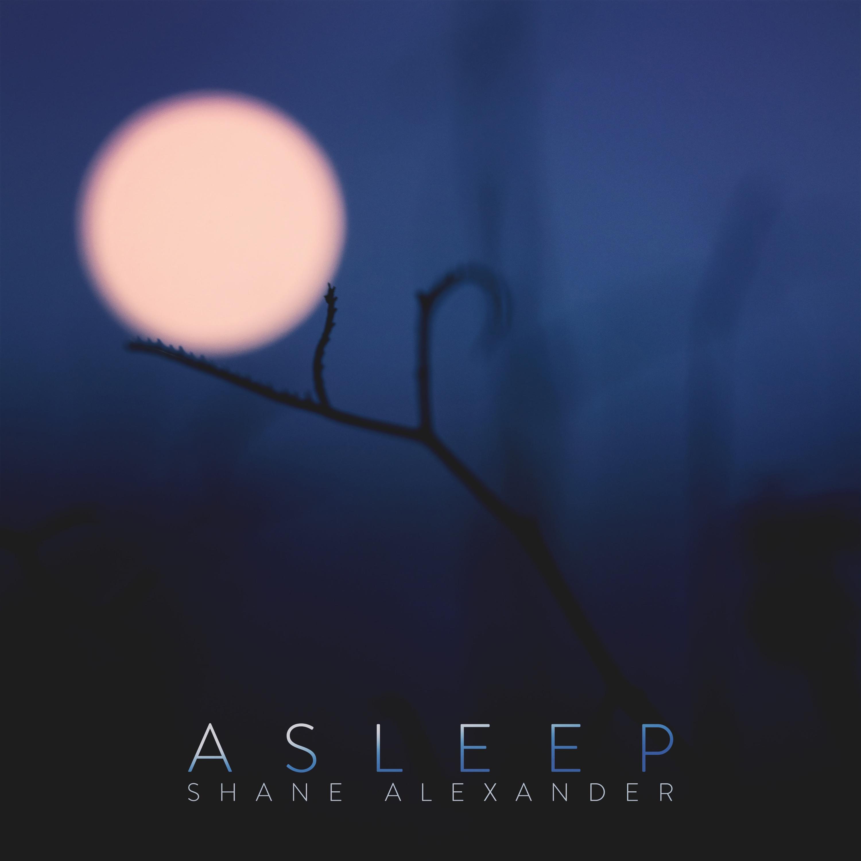 Asleep