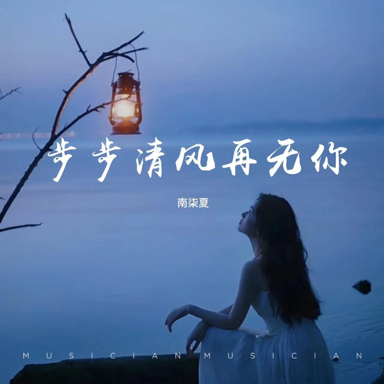 步步清风再无你