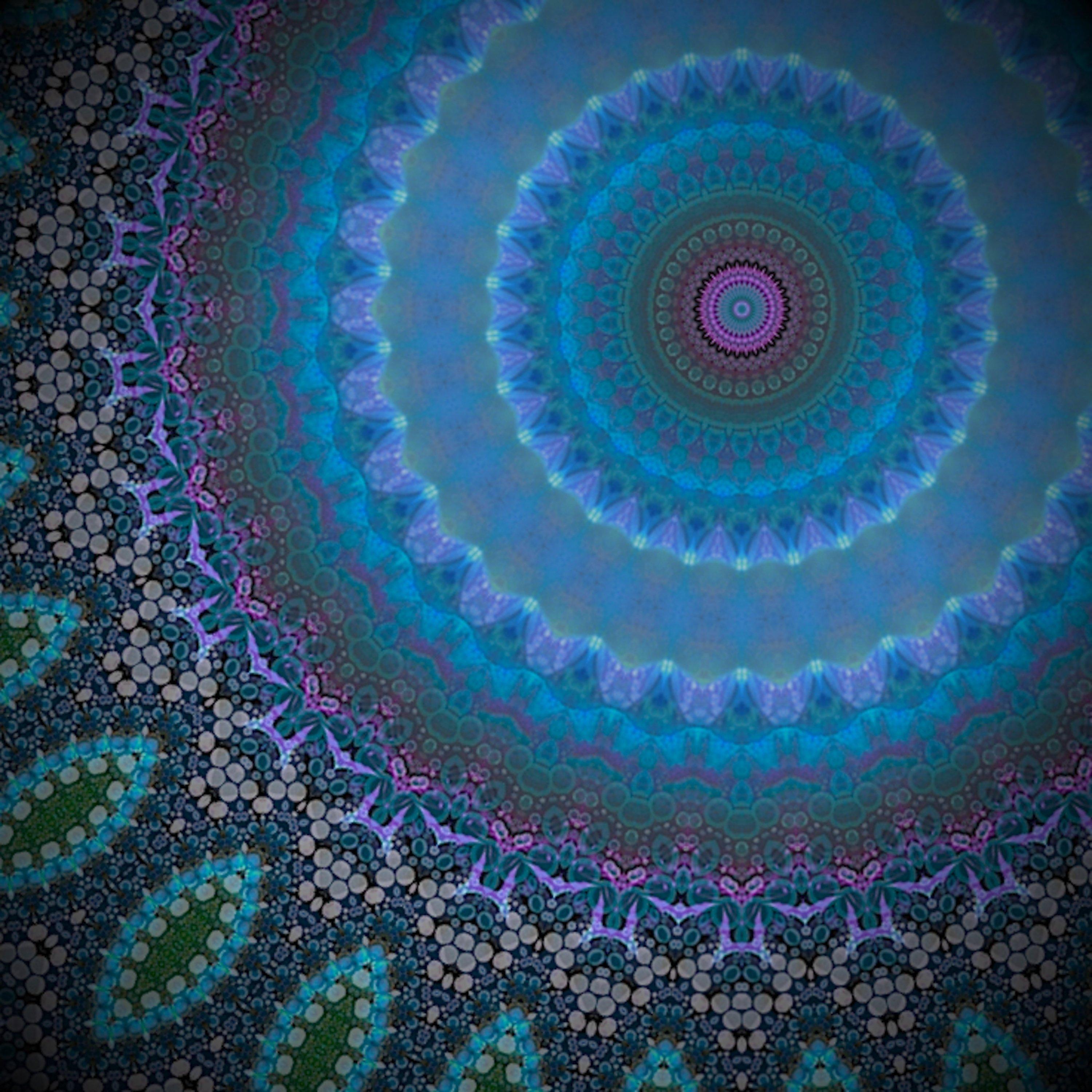 Kaleidoscopic Blooms