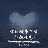 季彦霖 - 我听说你的城市下雪了 (和声伴唱)伴奏