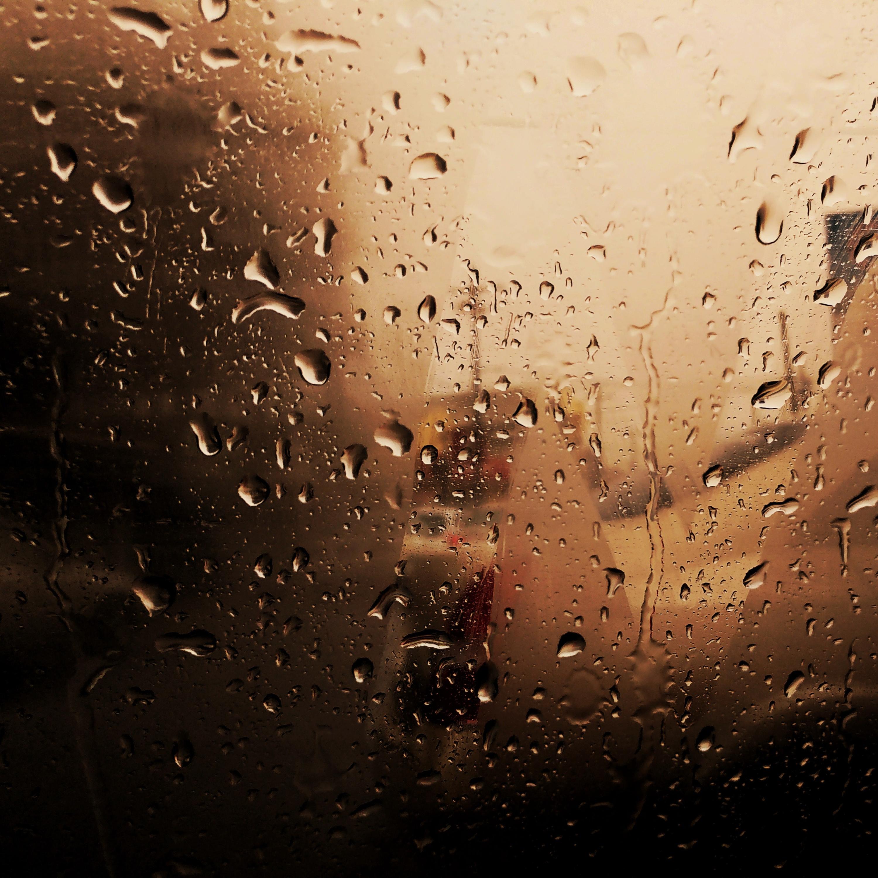 #1 Perfect Nature Playlist | Rainy Days