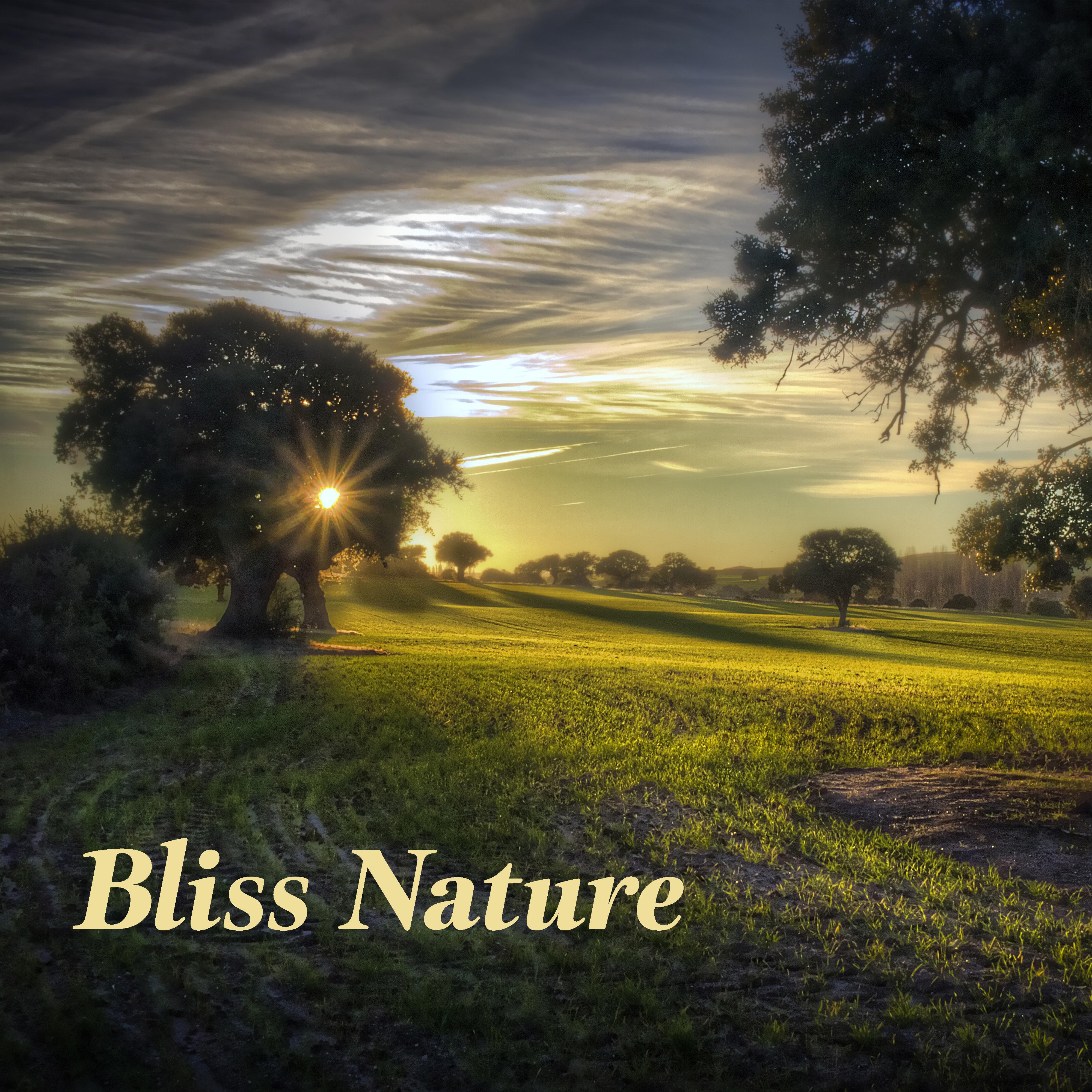 Bliss Nature专辑