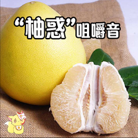 [DJ节目]一只持杖的狐酱的DJ节目 第64期