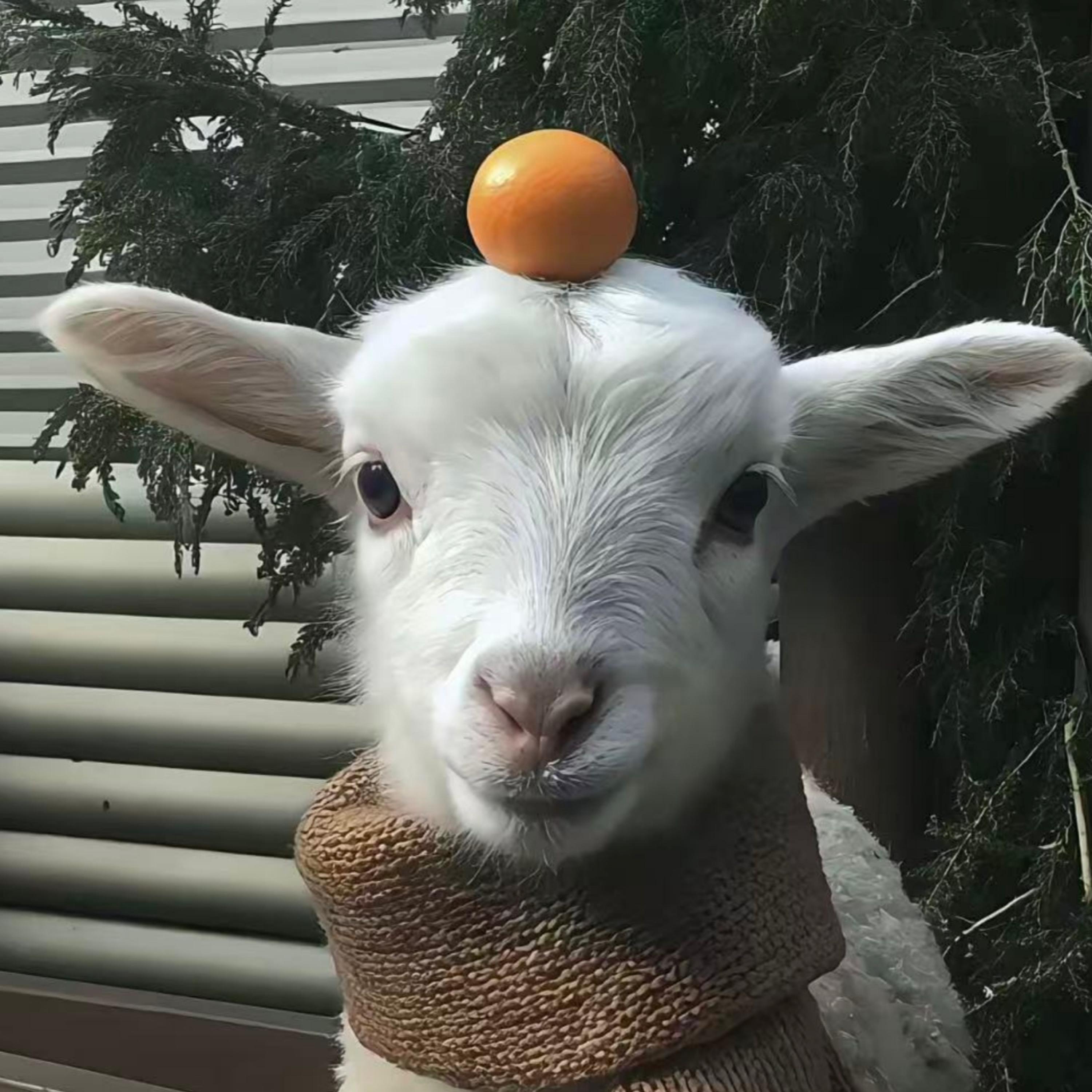 就算这个世界被寂寞忘掉