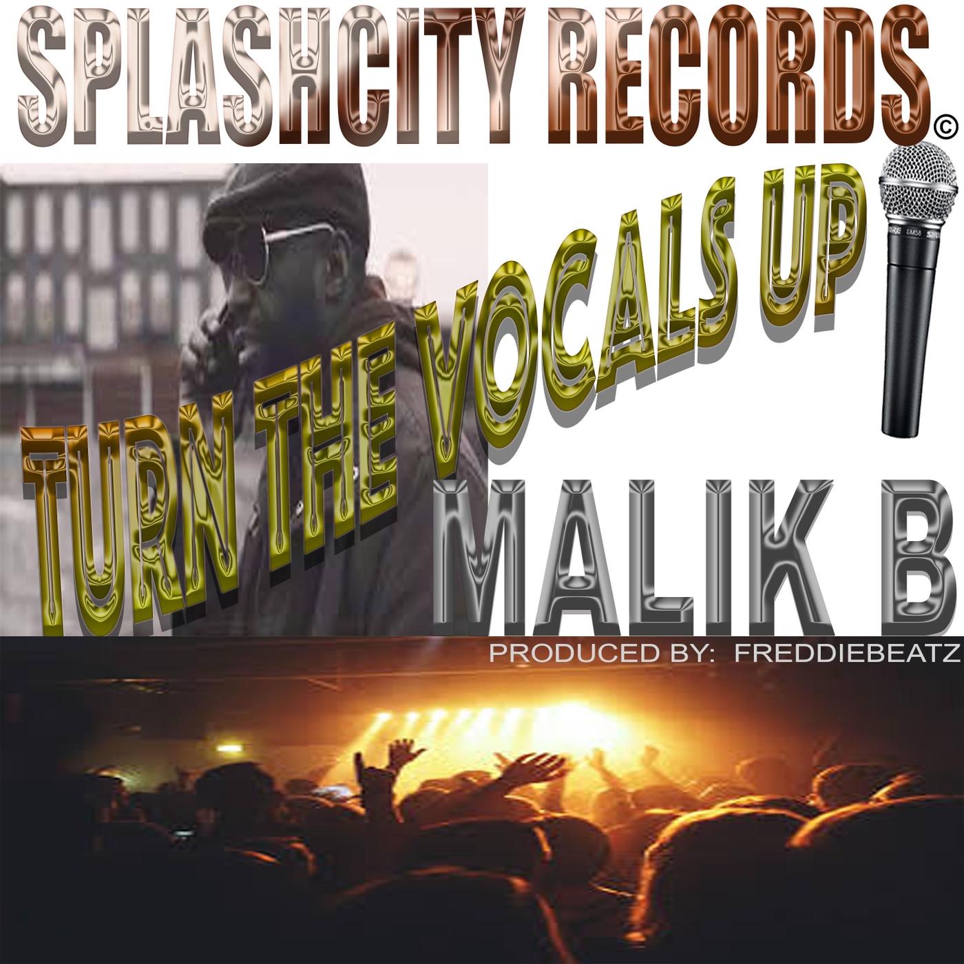 Turn the Vocals Up