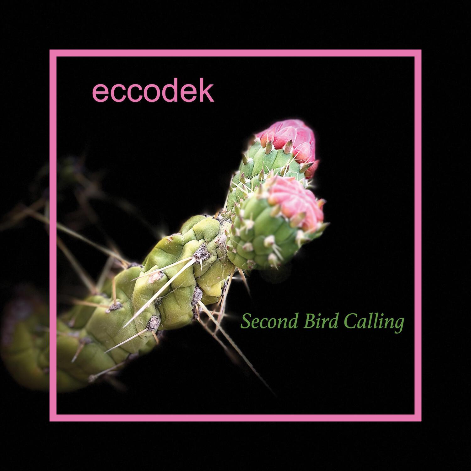 Eccodek - Second Bird Calling (King Infinity Remix)