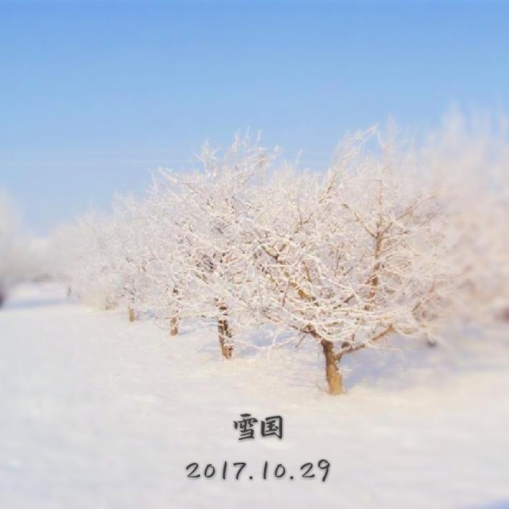 雪国专辑