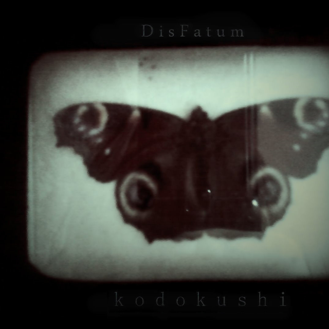 kodokushi