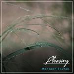 #12 Pleasing Monsoon Sounds专辑