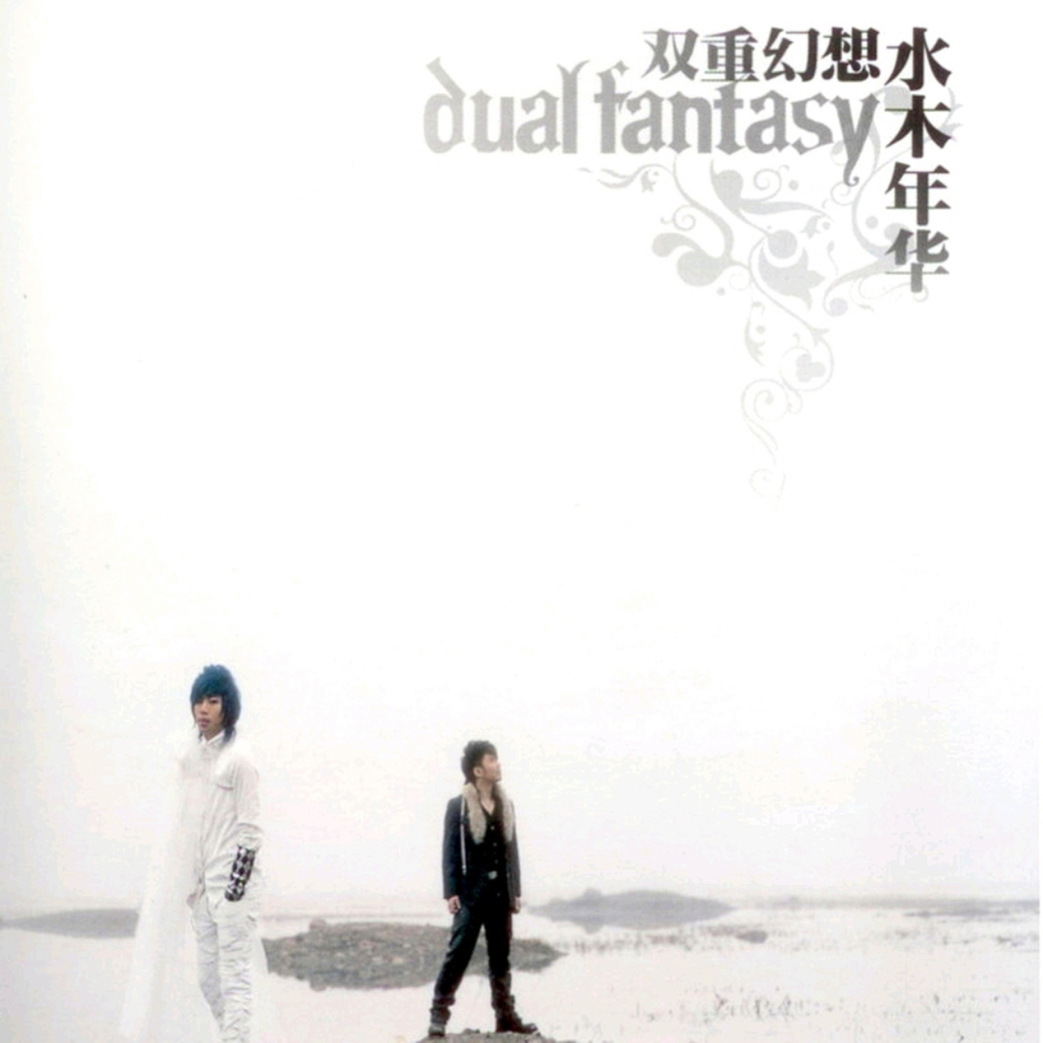 水木年华-《双重幻想》