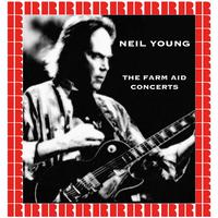 Neil Young - Rockin\' In The Free World (acoustic Instrumental)