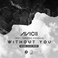 Without You (Ngoma Quake Remix)