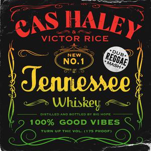 Reggae Covers - Tennessee Whiskey (Karaoke Version) 带和声伴奏