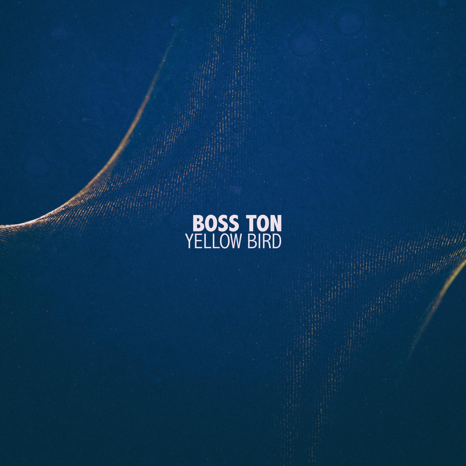 Boss Ton - Na Day (Ton Mix)