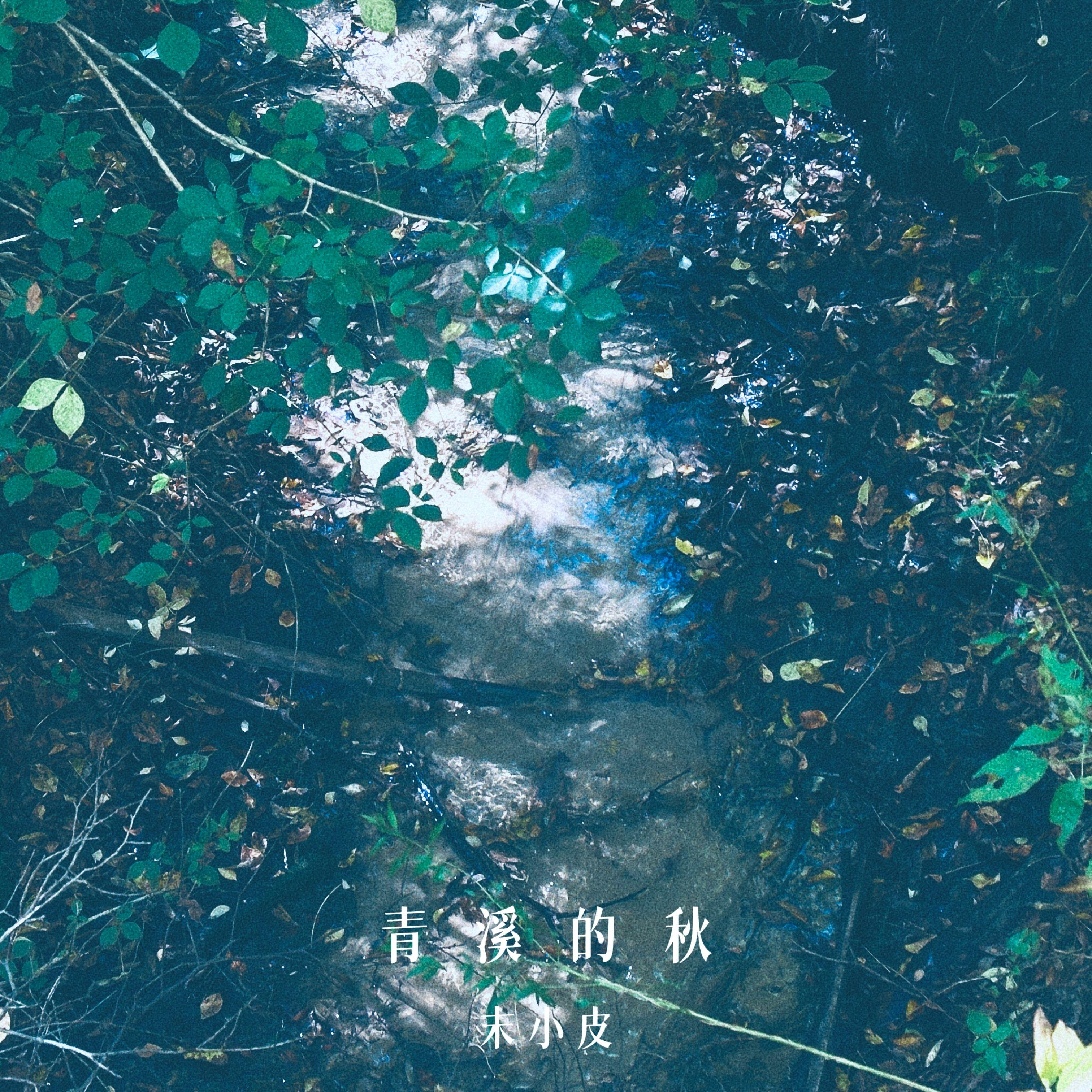 青溪的秋