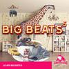 Big Beats: Volume, Vol. 5专辑
