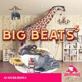 Big Beats: Volume, Vol. 5