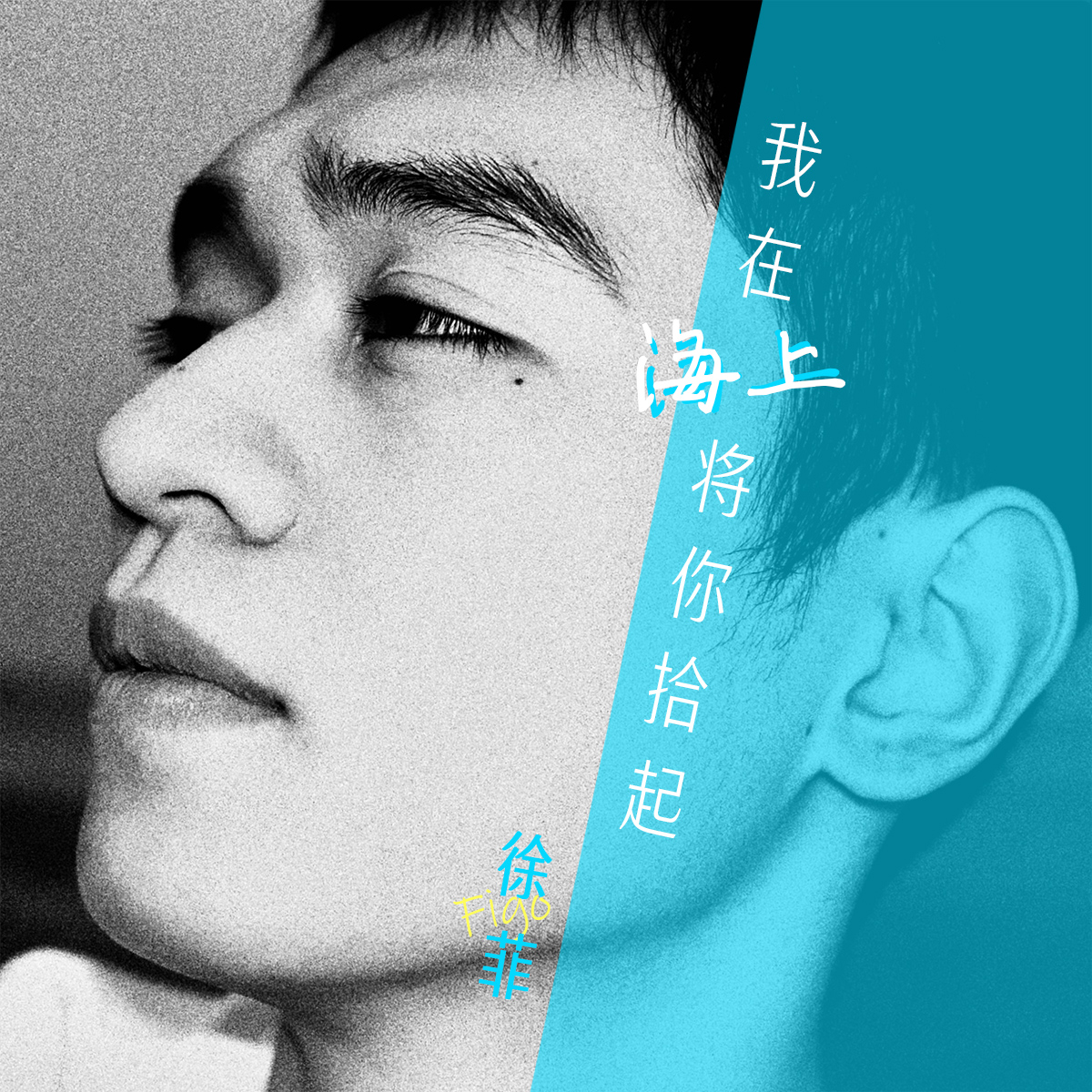 我在海上将你拾起