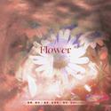 Flower中文版