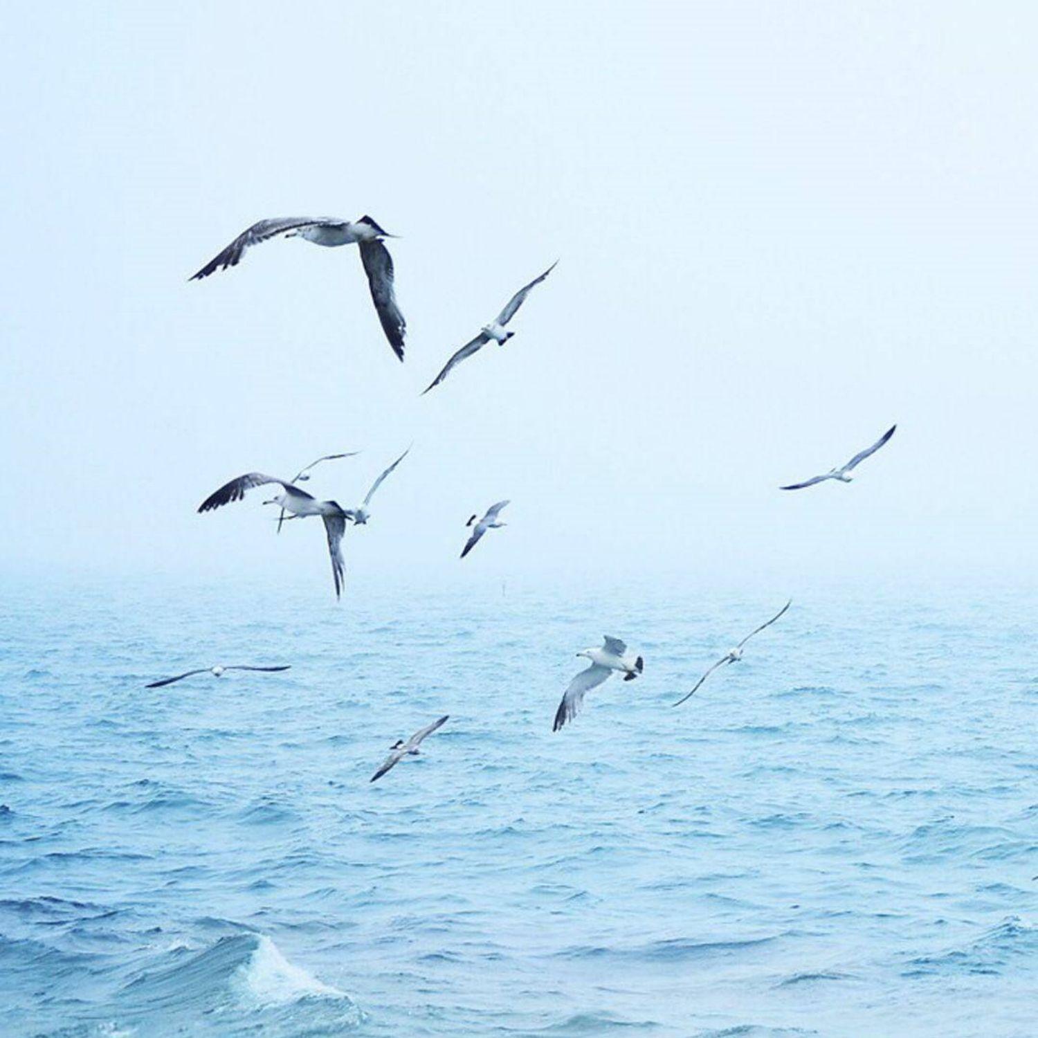 迷幻太空瓢虫 - 第9章