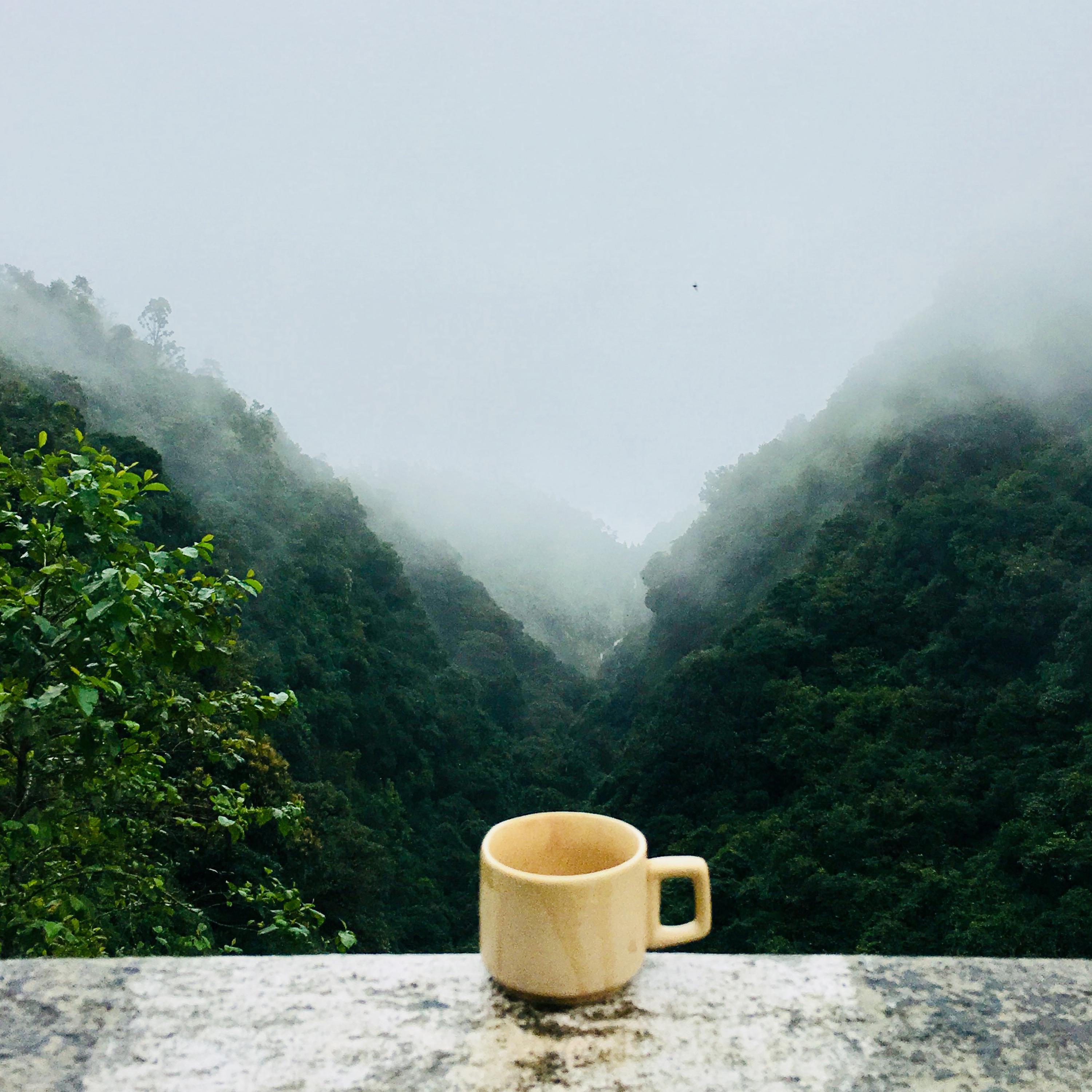 60 Melodic Nature Inspired Relaxation Sounds for Listening Pleasure